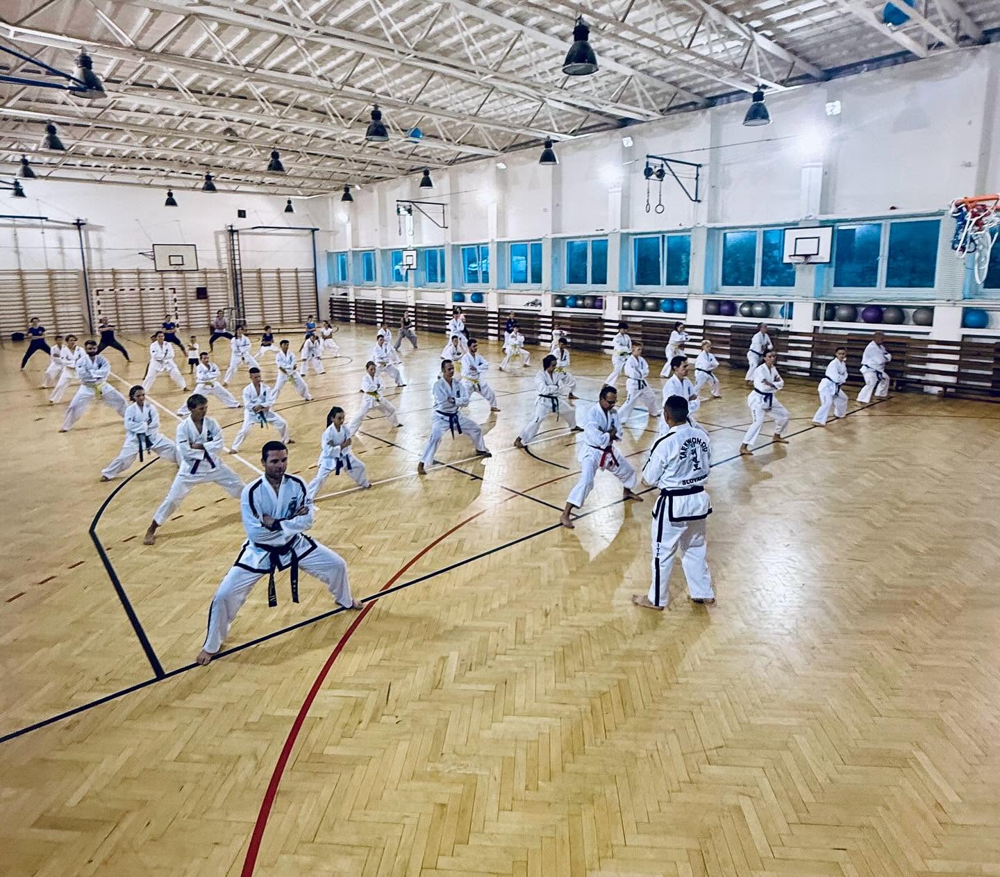 Seminár a spoločný tréning Taekwon-Do